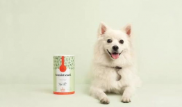 宠物短视频,短视频里的欢乐时光