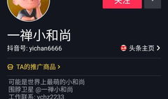 抖音短视频排名,排名背后的热门趋势与爆款秘诀